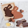 CHOC-LLPAQUES-lapin gourmand red cover